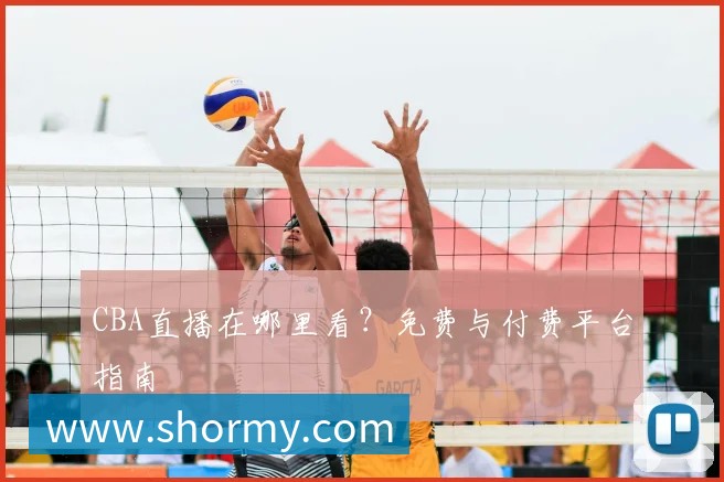 CBA直播在哪里看？免费与付费平台指南