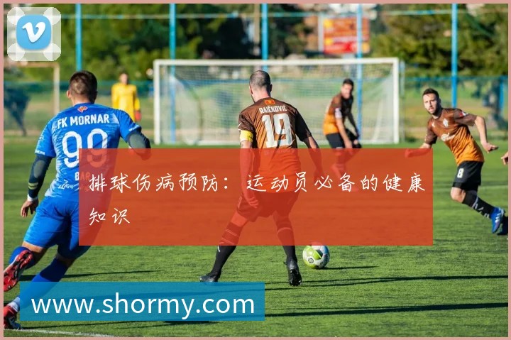 排球伤病预防:运动员必备的健康知识