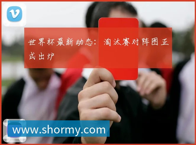 世界杯最新动态:淘汰赛对阵图正式出炉