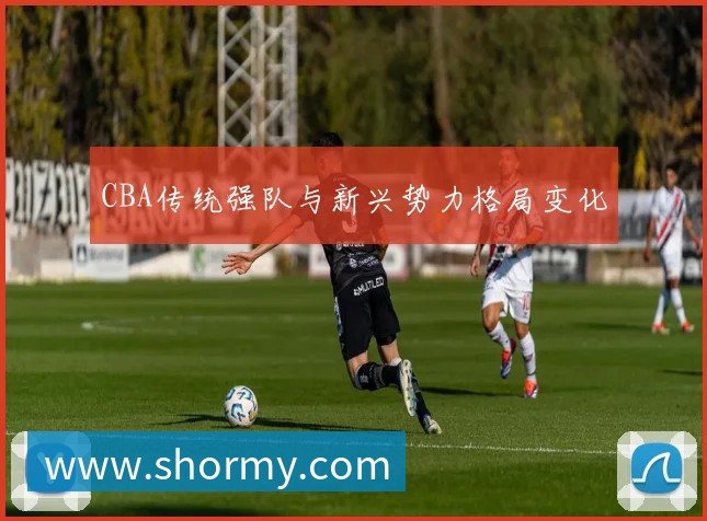 CBA传统强队与新兴势力格局变化