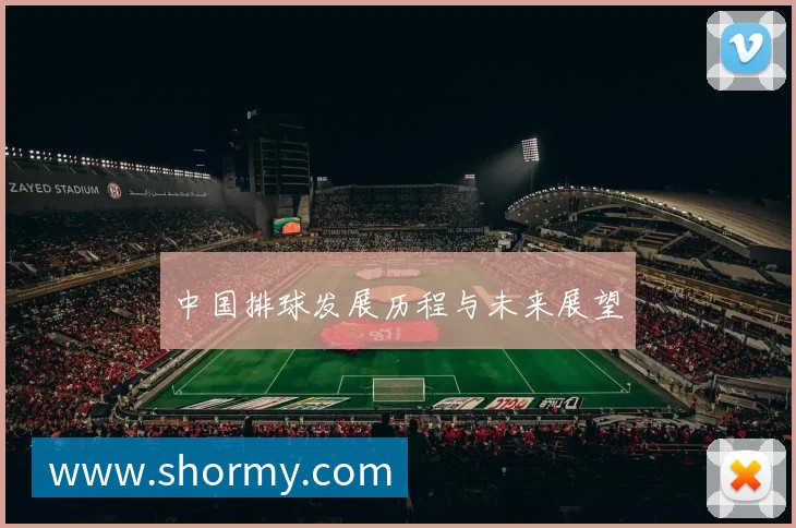 中国排球发展历程与未来展望