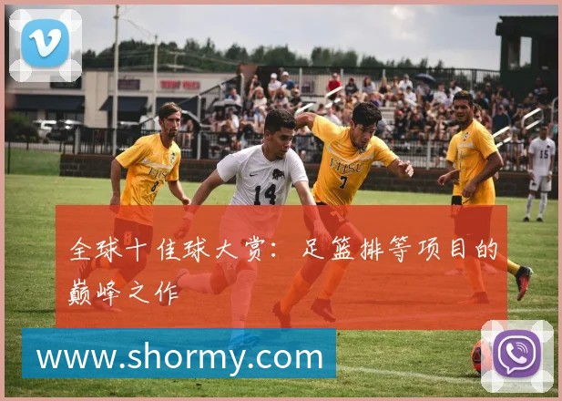 全球十佳球大赏:足篮排等项目的巅峰之作